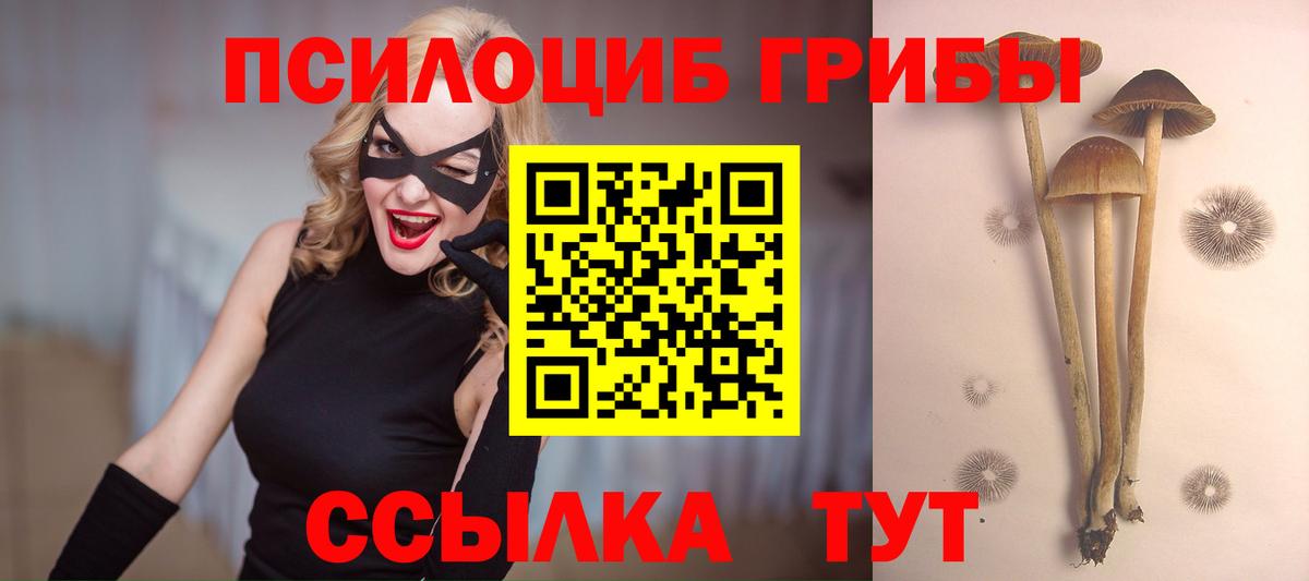 Псилоцибиновые грибы мицелий Ипатово